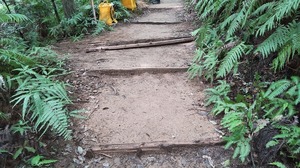 0927甲南女子中道普請 (1).jpg