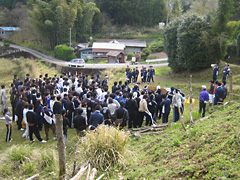 20080412-1.jpg