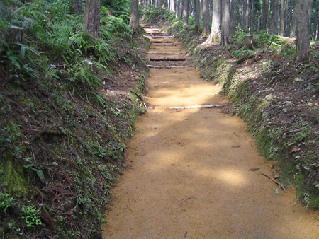 20080412-4.jpg
