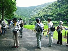 20080706-5.jpg